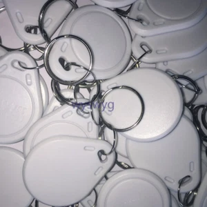 100x Color Blanco 125KHz RFID EM TK4100 Etiqueta de Inducción Llavero para Control de Acceso - Imagen 1 de 1