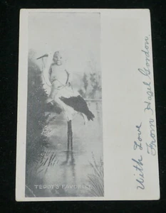 1906 COMIC POSTCARD, BABY SITTING ON, RIDING STORK, TEDDY'S FAVORITE, BIRTH - Picture 1 of 3