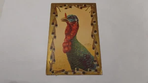 1909, Thanksgiving Postkarte TF-607; Wer sagte Türkei? Truthahnfederrand - Bild 1 von 4