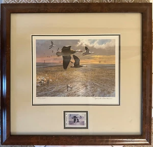 LTD 1985 Texas Waterfowl Stamp Print by John P. Cowan Signed & Numbered - Picture 1 of 7