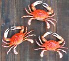Red Crab Maryland Hand Painted 6" Replica Wall Sculpture Beach Decor set 3
