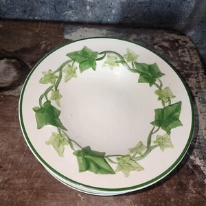 FRANCISCAN Ivy Rim Soup Bowl contemporary back stamp made in USA - Picture 1 of 4