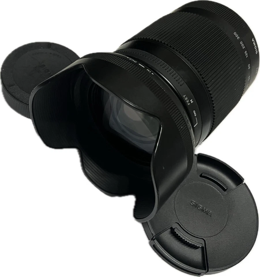 Sigma 18-300mm F3.5-6.3 DC MACRO OS HSM Contemporary für Nikon 783429 - Bild 1 von 4