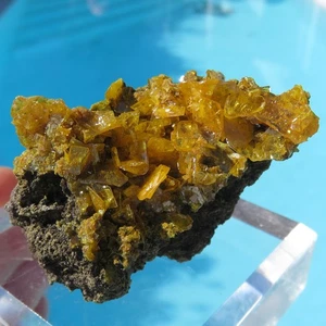 Mineralien *** ORANGENER WULFENIT auf Arizona MATRIX - Bild 1 von 2