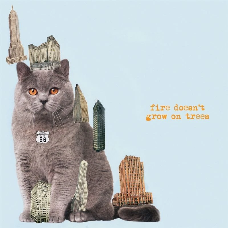 Brian Jonestown Massacre Fire Wächst Nicht Auf Bäumen CD AUK049CD Neu