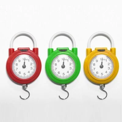 New Portable Weight Scale Hanging Scale with Hook High Precision Spring Scale - Image 1 of 4