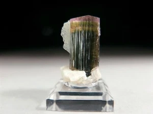 Pink & Green Elbaite Polychrome Tourmaline Crystal with Cleavelandite #8 - Picture 1 of 4
