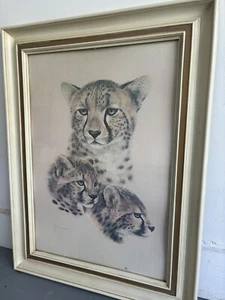 1970s Cheetah portrait - Picture 1 of 2