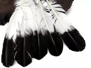 6 Pieces - Black Tipped Imitation Eagle Turkey Tom Rounds Secondary Wing Feather - Picture 1 of 8