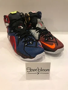 Nike Lebron XII 12 SE WTL What the Lebron James PE Size 11 - Picture 1 of 6