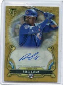 2020 TOPPS TRIPLE THREADS #RAC-RG ROBEL GARCIA AUTOGRAPH ROOKIE RC #9/25 032021 - Picture 1 of 1