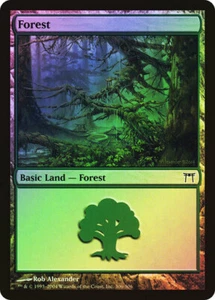 Magic The Gathering MTG FOREST (306) FOIL Champions of Kamigawa NM Near Mint - Picture 1 of 1