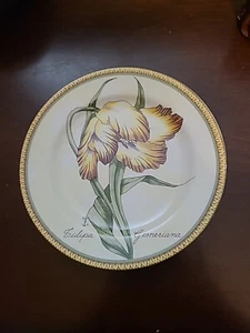 American Atelier Tulip Botanical Tulipa Gesneriana Lunch Dessert Plate 8 1/8" - Picture 1 of 2