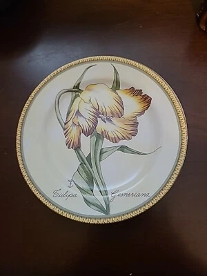 American Atelier Tulip Botanical Tulipa Gesneriana Lunch Dessert Plate 8 1/8" - Image 1 of 2