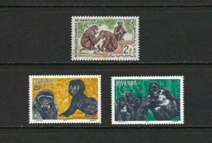 GORILA.- RUANDA.- BABUINOS, MAURITANIA - Imagen 1 de 1
