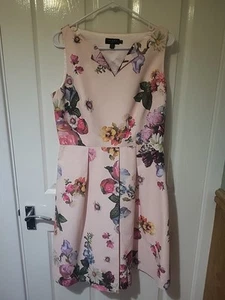 Ted Baker size 4/uk 14 dress, Pink And Floral Skater Dress - Picture 1 of 9
