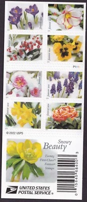 Scott #5745a (5736-45) Snowy Beauty Booklet of 20 Forever Stamps - MNH - Image 1 of 2