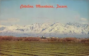 Postkarte AZ: Catalina Mountains, Tucson, Arizona 1960er - Bild 1 von 2