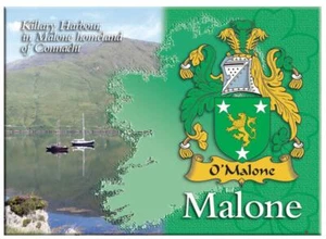 Malone Apellido Irlandés Recuerdo Imagen Metálica Nevera Imán Regalo Irlandés - Imagen 1 de 2