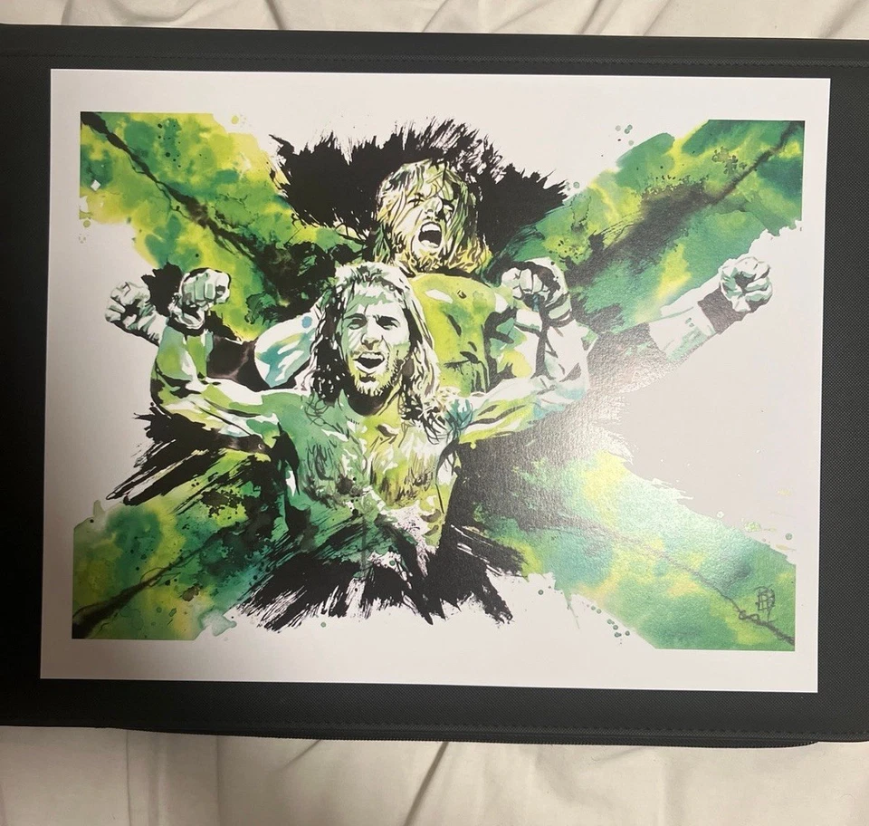 WWE D-Generation X Rob Schamberger Limited Edition Art Print 11x14 Triple H HBK - Imagem 1 de 1