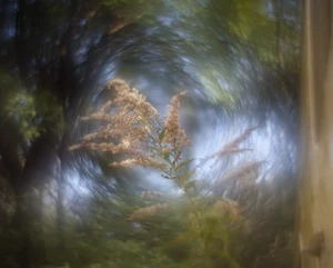 Helios 44 58mm F/2 BELOMO Petzval Modification Dreamy Swirly Bokeh M42 LENS - Picture 1 of 23