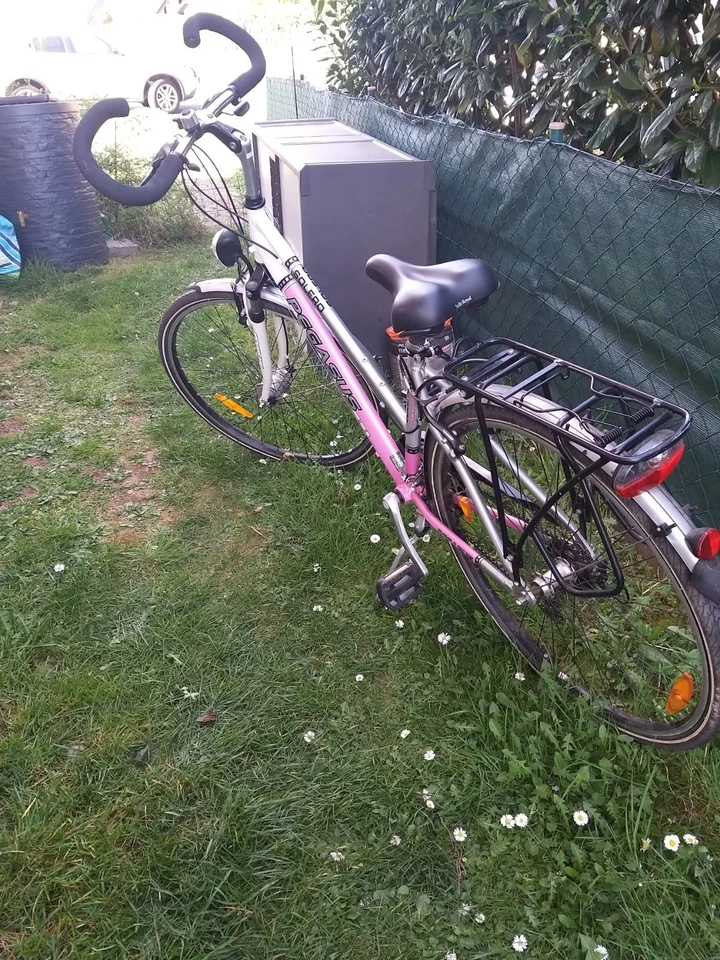 Fahrrad City Bike Damen Marke Pegasus 26 zoll 7 Gang Rosa - Bild 1 von 1