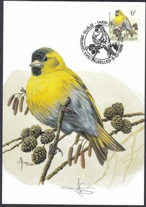 Belgien 1996 - Maximum Card. Mi Nr.: 2716. Signiert "A.Buzin" "Vögel" (EB) AR-11123 - Bild 1 von 2