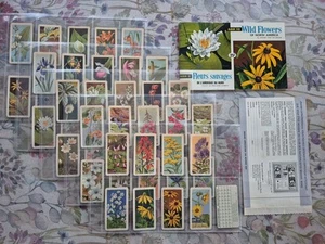 Brooke Bond Canadian Wild Flowers Job Lot - Picture 1 of 10