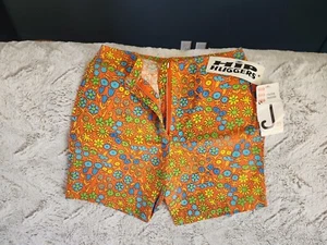 Vintage 60's NOS Hip Huggers Shorts Jeanie By Blue Bell Inc. Made In USA - Picture 1 of 6