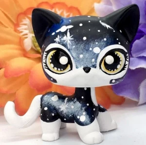 CUSTOM OOAK  Toys, Mini Shop Hand Painted Short Hair GALAXY Kitty Cat - Picture 1 of 8