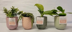 4ct Bullseye Spielplatz Topfpflanze Sukkulenten Etagen Tablett Pastell Prägetöpfe - Bild 1 von 16