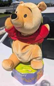 Winnie Puuh Bär "Soft N Silly" Floppy Plüsch 2001 Mattel Fisher Price Disney - Bild 1 von 5