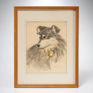 Border Collie Dog Watercolor Painting Portrait in Frame Signed Irma Ruetsch 15"h - Picture 1 of 4