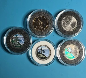 🇺🇸 2005-D Meerblick BEMALTE Nickels (5er Set) Stempelglanz in Protektoren - Bild 1 von 2