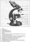 BINOKULAR ZEISS MIKROSKOP STANDARD KF14 ZUBEHÖR BINOCULAR OPTICS MICROSCOPE BUND