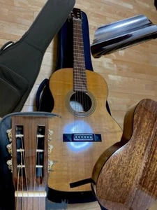 Recording King ROS-06 Customized Lap Steel Guitar with Gig Bag - Imagen 1 de 15