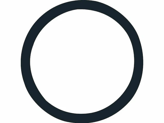 Junta tórica termostato Gates para Ford Pinto 1975-1979 2,8 L V6 GAS 44XNSC Foto 1 de 1