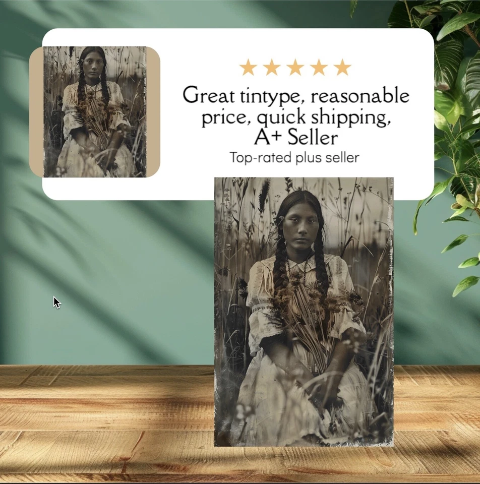 Индейский тонип ограниченный выпуск музейная серия C00260RP - Изображение 1 из 3