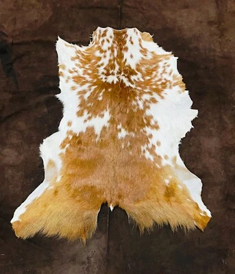 Decoración de piel de cabra, taxidermia de piel de animal nórdico, abrigo de piel de verano de cuero real Foto 1 de 4