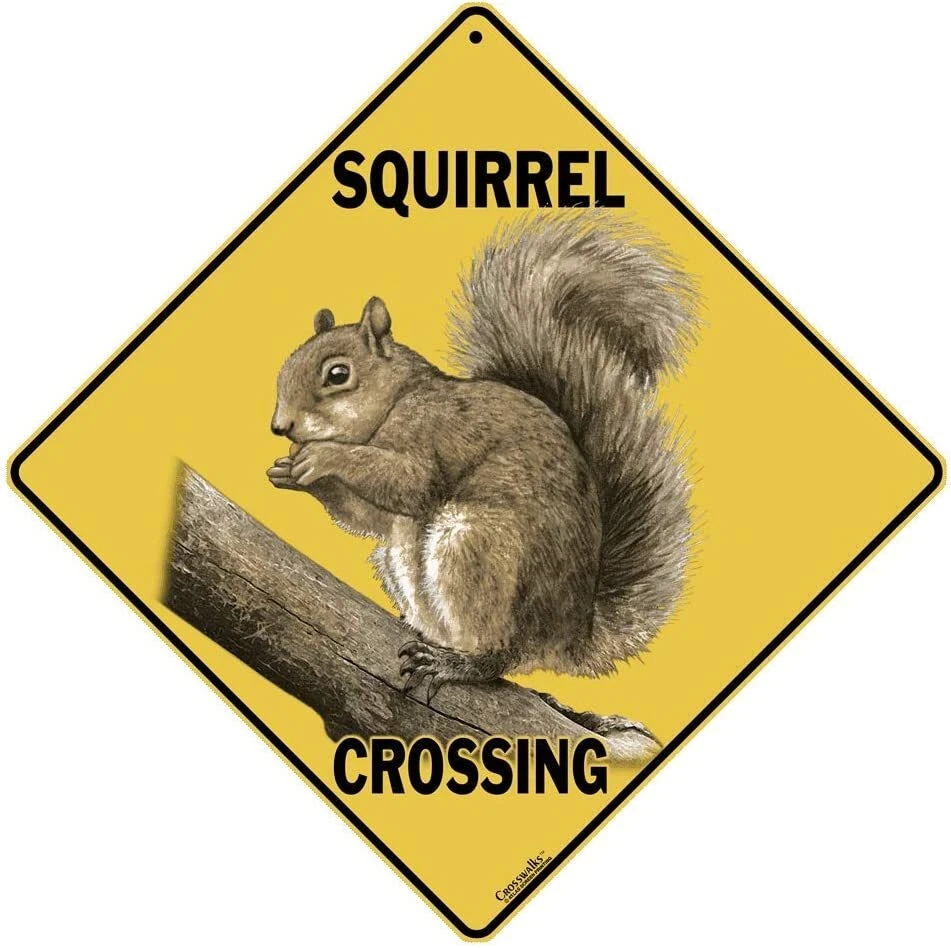 SQUIRREL Crossing Sign, 12" on sides, 16" on diagonal, Indoor/Out-Aluminum - Image 1 of 1