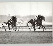 HORSE Race @ The AQUEDUCT/ THE GOTHAM, AIR FORBES Wins. 1982 Press Photo Sports