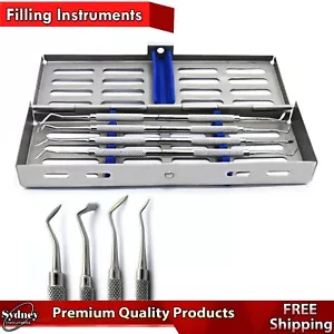 Composite Amalgam Filling Instruments Hollenback Carvers Dental Instruments - Picture 1 of 4