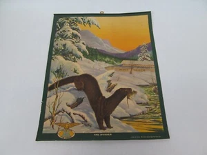 Maas & Steffen Fur House Calendario Antiguo Parte Superior Publicidad Trampa Visón 1944 - Imagen 1 de 4