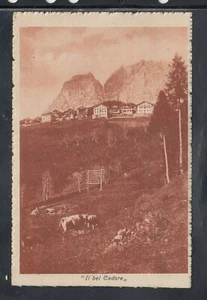 Cartolina il Bel Cadore MUCCHE EC157 - Picture 1 of 1