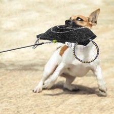 juguetes para perros de mordida fuerte