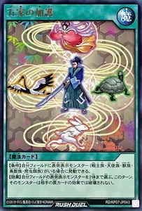 Yugioh Rush Duel RD/KP07-JP043 Cinque Tipi di Assistenza Rara - Foto 1 di 2