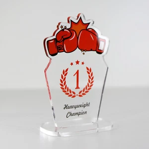 ACRYLIC COLOUR TROPHY AWARD CUSTOM DESIGNED FOR BOXING WINNER ACHIEVEMENT - Picture 1 of 3