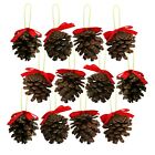 12 x Real Genuine Pine Cone Christmas Tree Hanging Decorations (Choose Size)