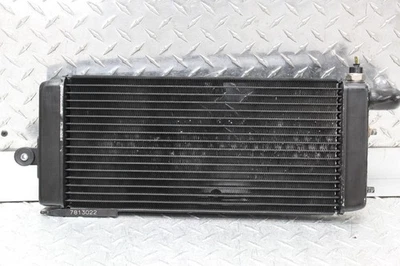 Radiador Honda Shadow Spirit 750 VT750DC 2007 - Imagem 1 de 4