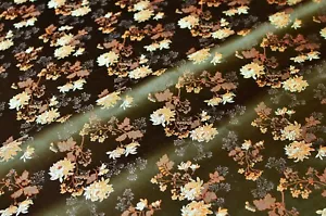 3.6 yd/Vintage Silk jacquard fabric Luxury Oriental brocade cloth Uzbek textile - Picture 1 of 6